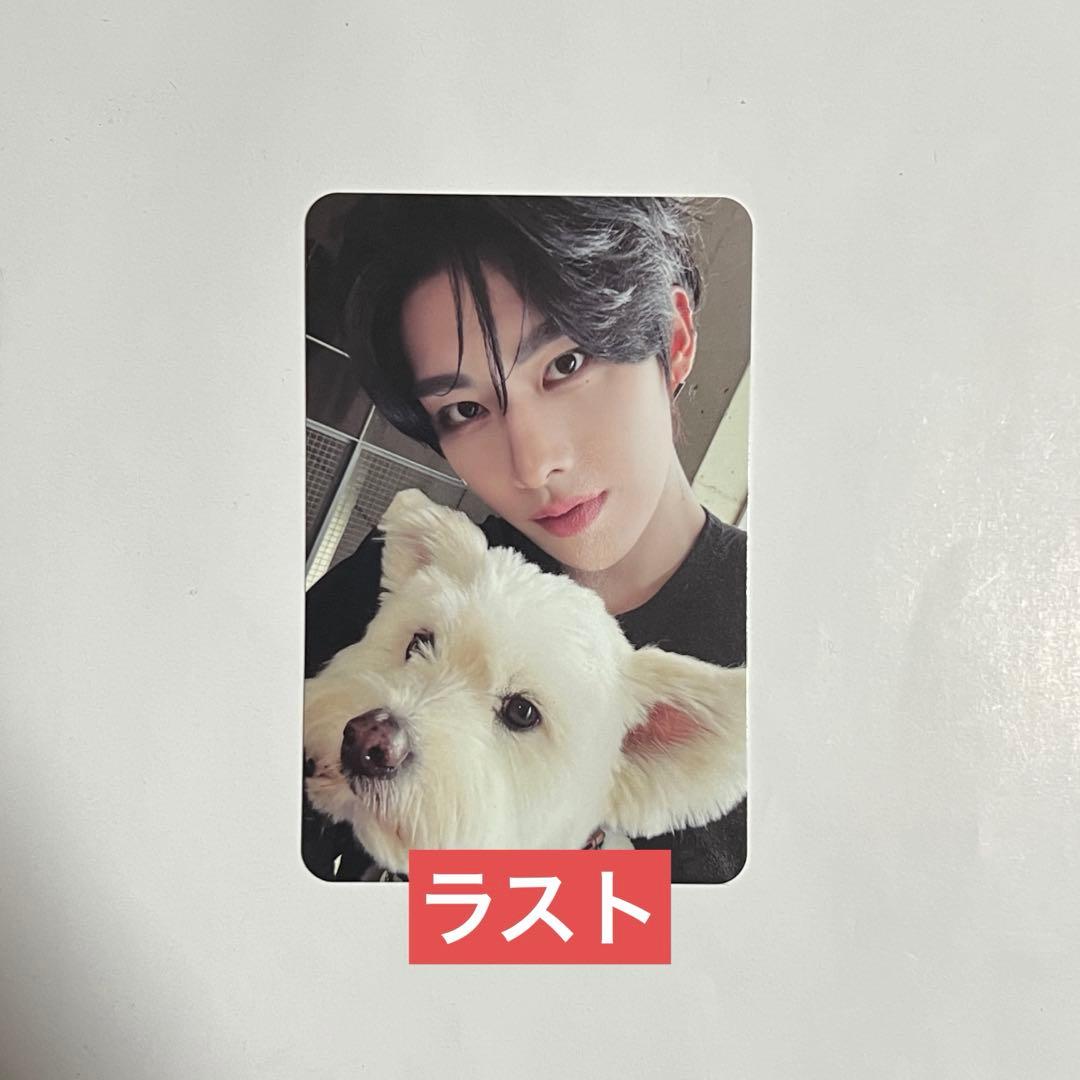 zb1 リッキー NEVERSAYNEVER デジパ 封入トレカ 犬 レオ - メルカリ