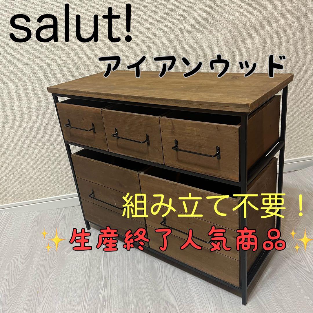 salut! WEB限定 アイアンウッド5ドロワーマルチラック☆完売品☆ salut