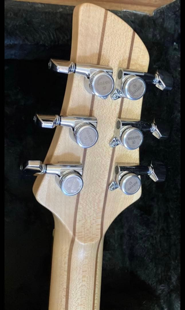 ぽーさん様　dragonfly jaguar666 最終出品　1/25まで