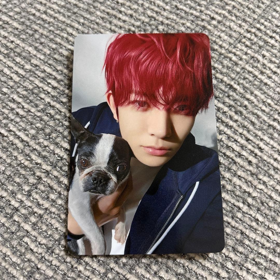 ヒスン　ENHYPEN アンケート特典　Heeseung