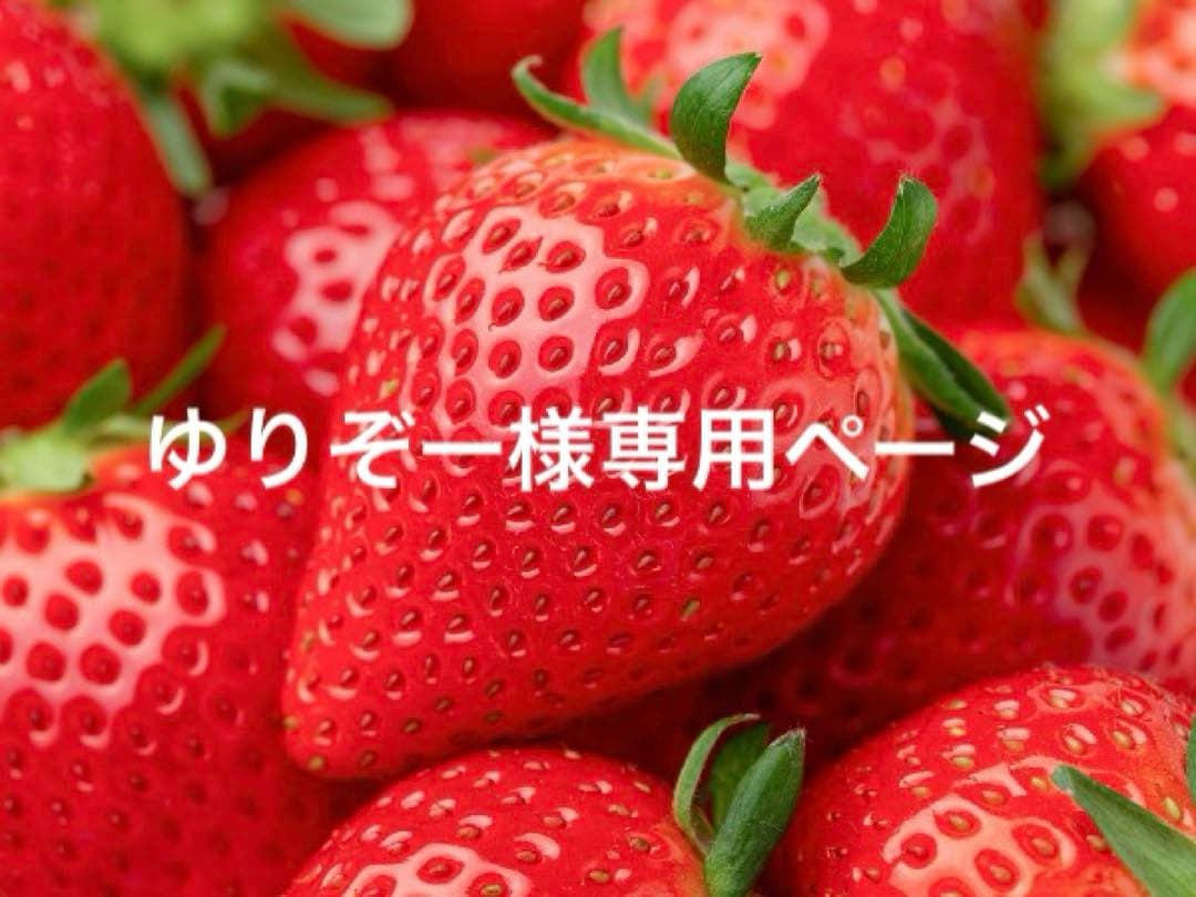 ゆりぞーさま専用ページ