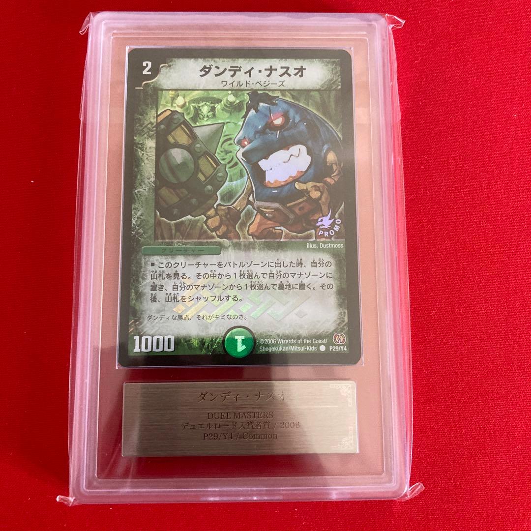 ダンディ・ナスオ　ars9