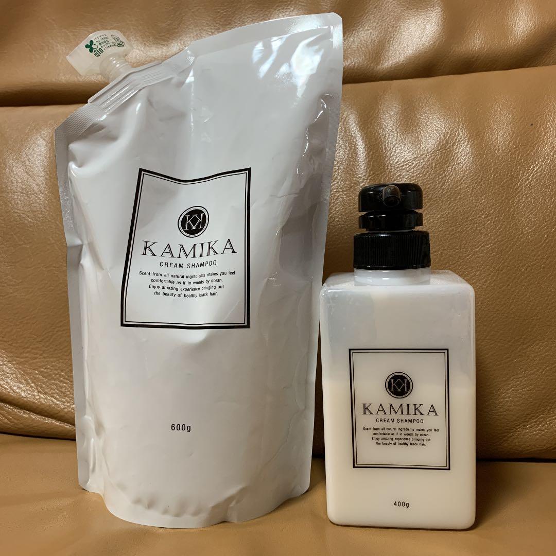 販売 油絵 菅家令子 絵 絵画 インテリア F4-030119 祈り 子猫子犬と女の子