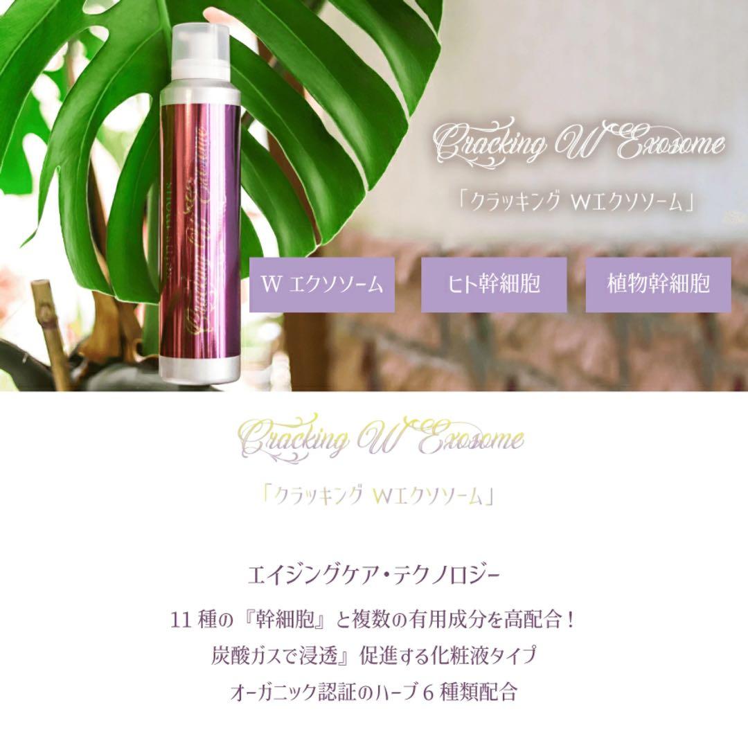 新品未開封】セインムー クラッキングWエクソソーム 美容液 - メルカリ