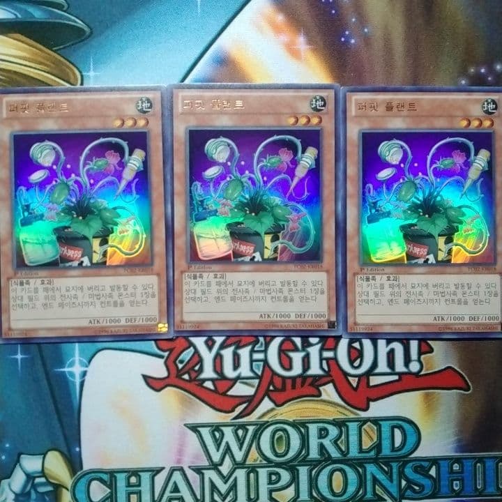 遊戯王　1103 パペットプラント　ウルトラ　　3枚　1st　韓国 51lhMOxnixL._AC_UF350,