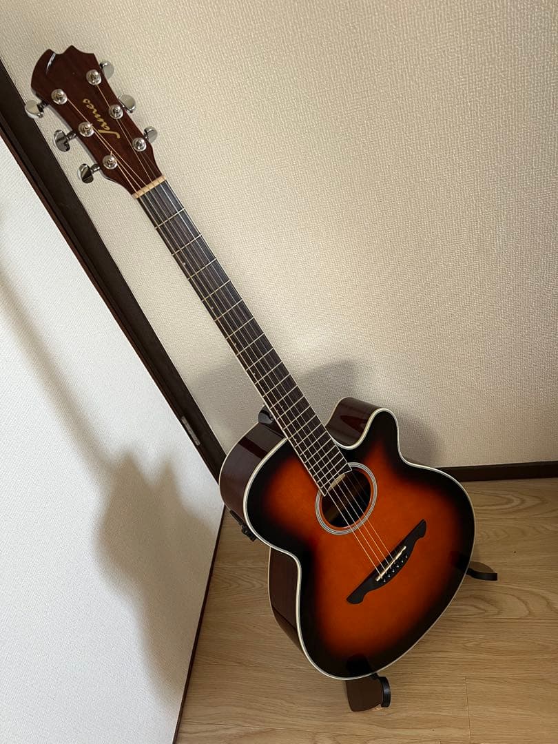 James エレアコ　je450 ソフトケース付き