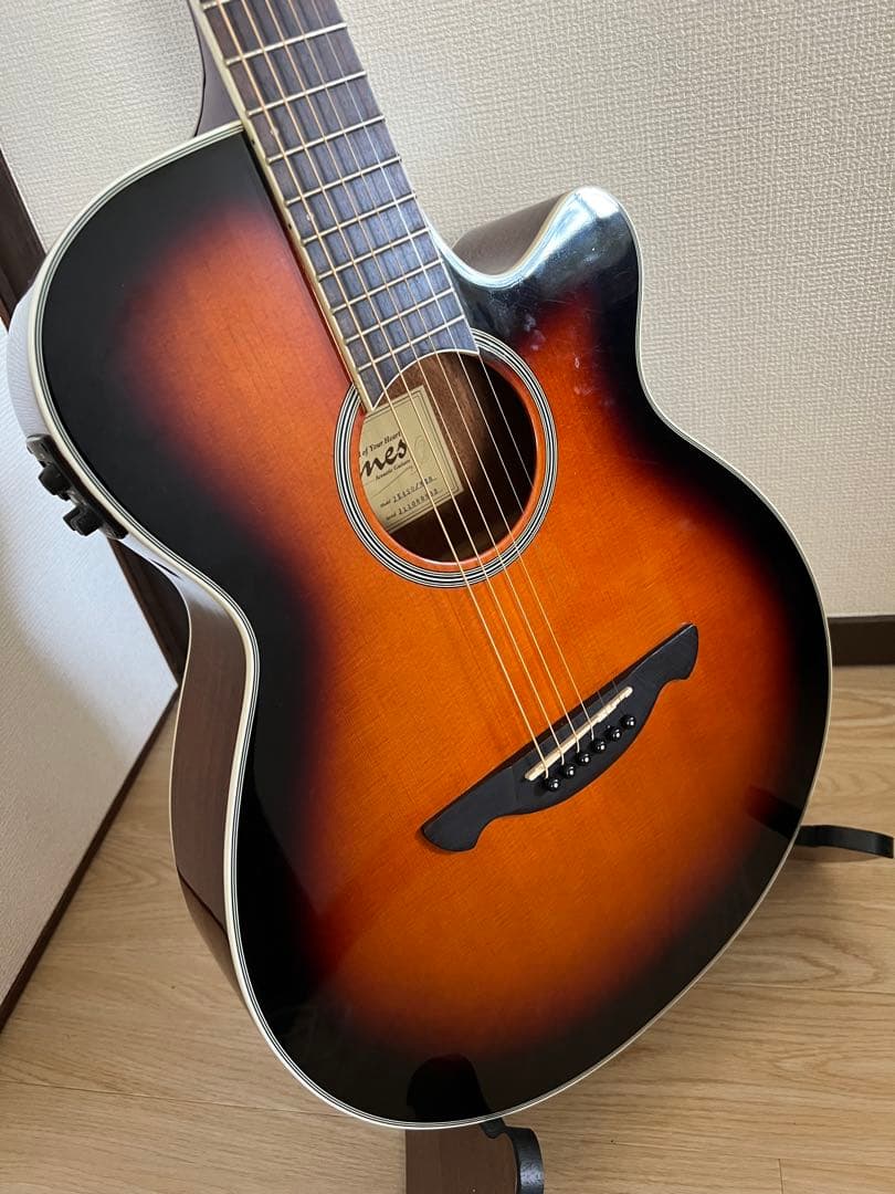 James エレアコje450 ソフトケース付き