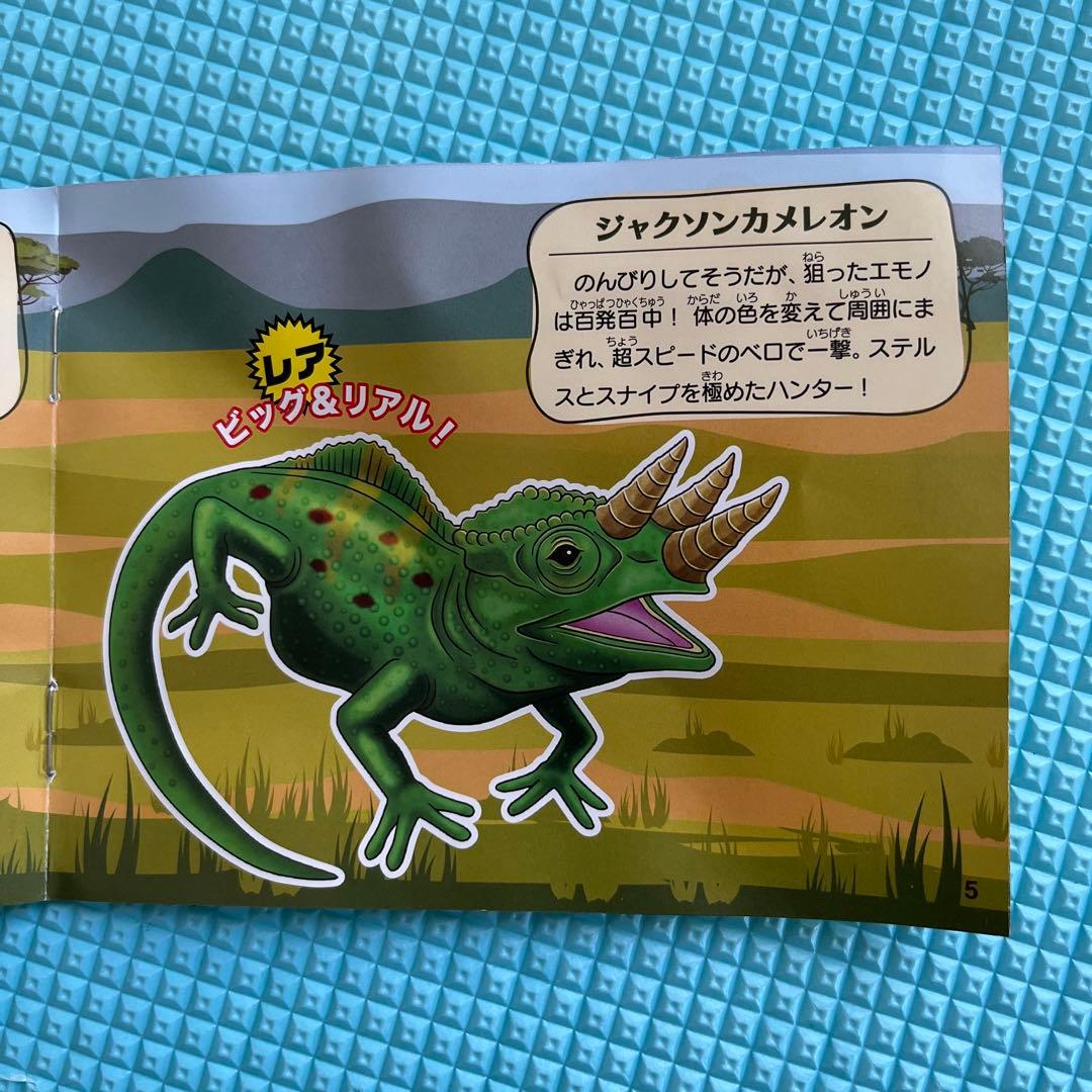 変形爬虫類 リアルトカゲ＆ワニ ジャクソンカメレオン - メルカリ