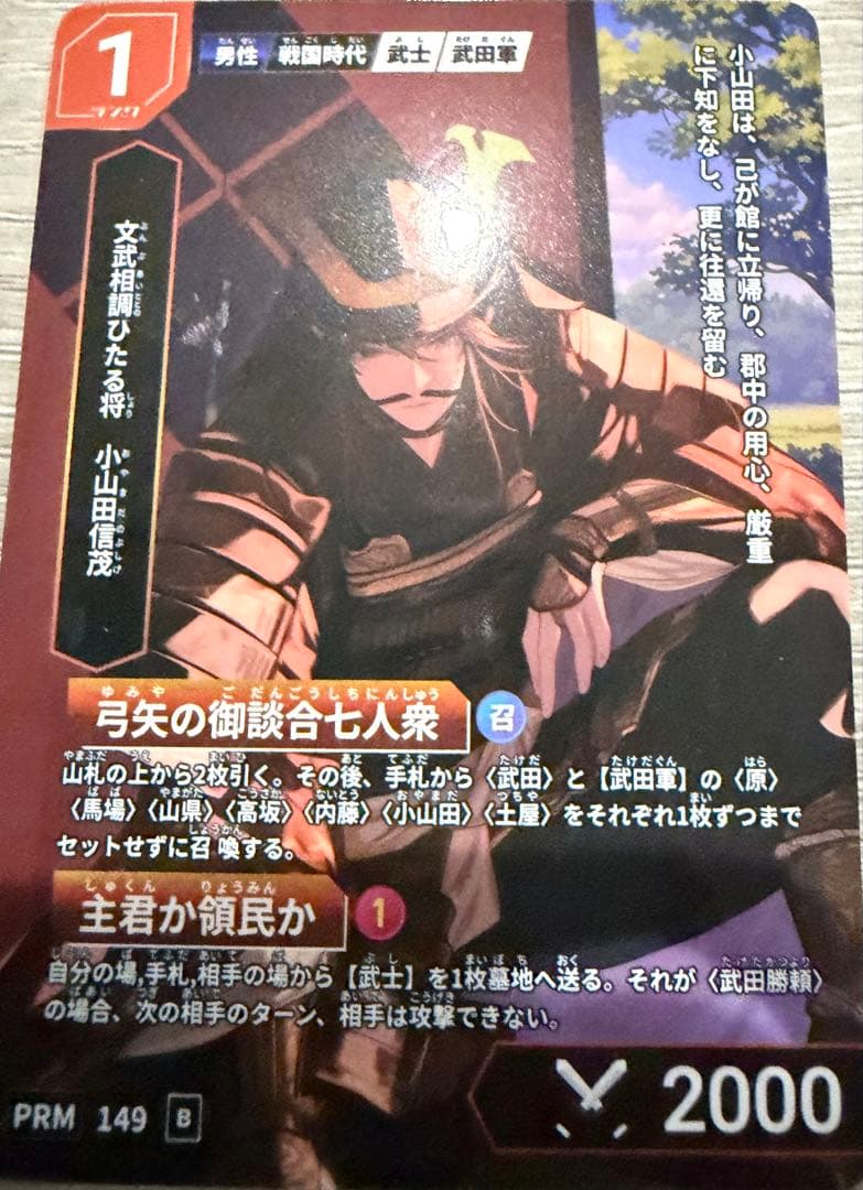 ハイスト 歴史カードゲーム（Hi!story）甲斐の國武田 コンプリート10種