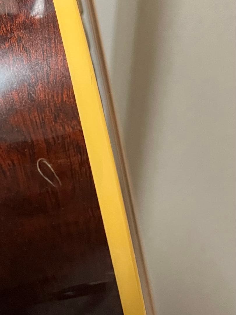 Taylor XXV-PR プレミアム25周年記念 エレアコ 世界限定500本 - メルカリ