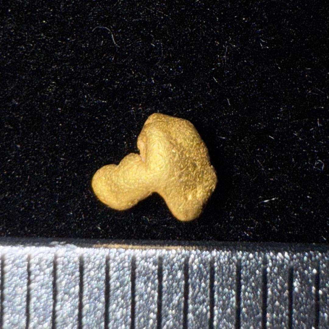 小*7様 砂金 特大 天然物 【アラスカ産】#99鑑定済 0.22ｇ