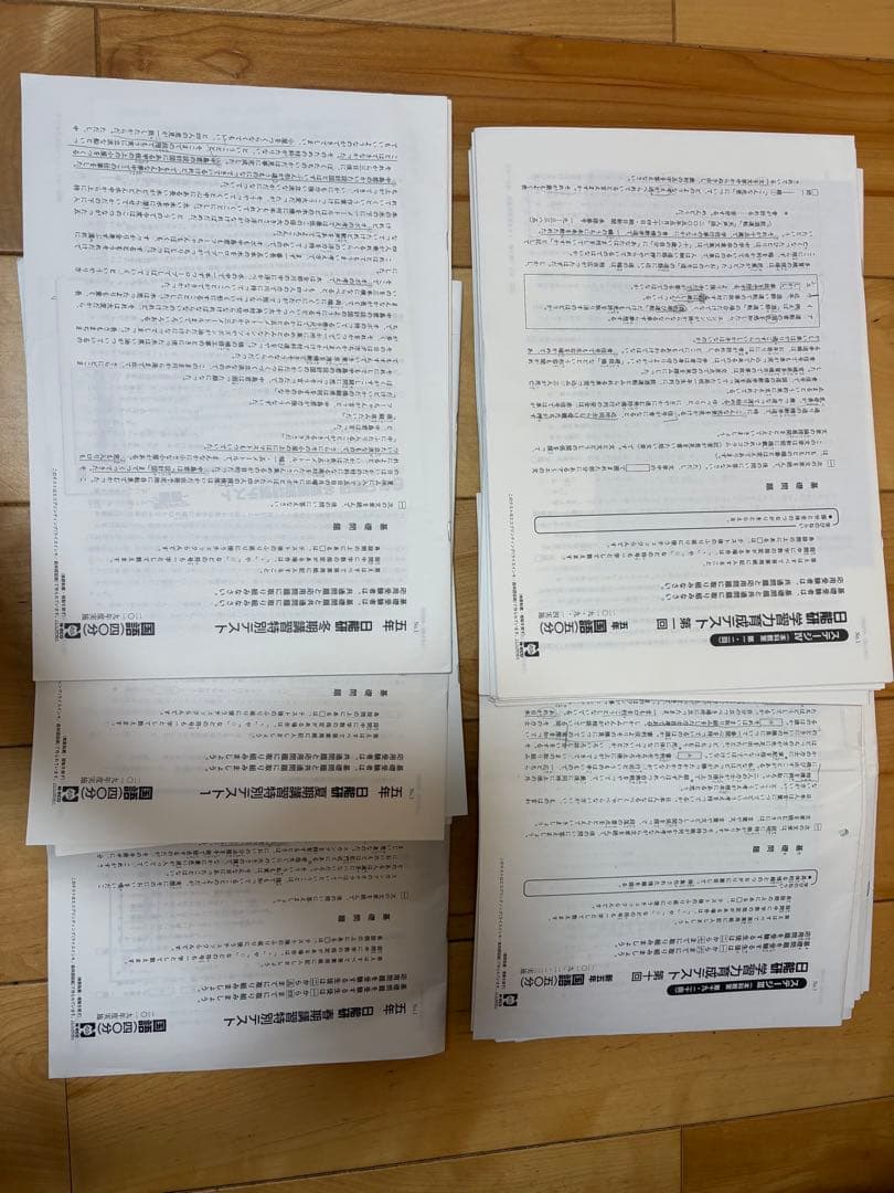 日能研　学習力育成テスト　5年　2019年通年分