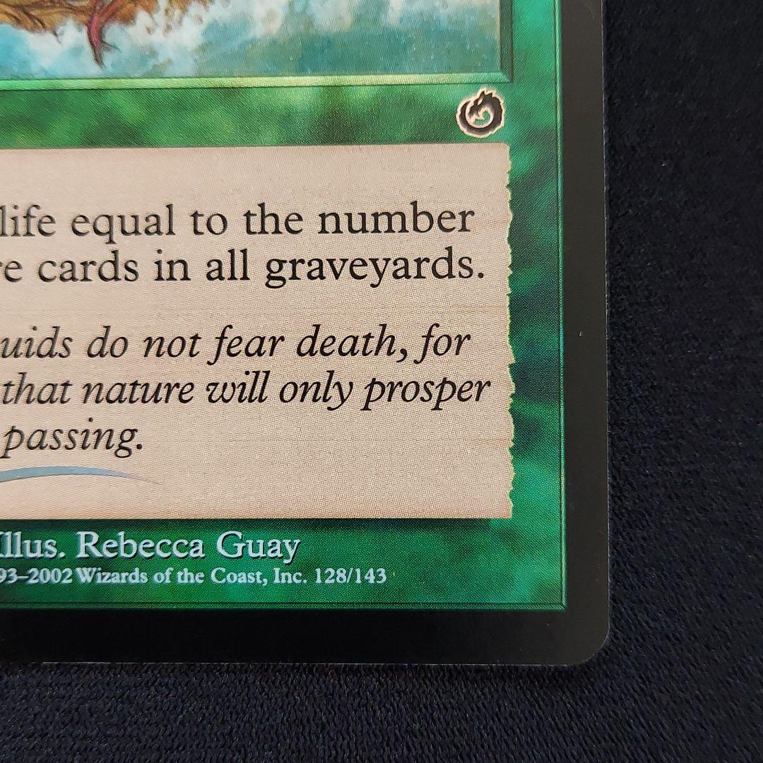 MTG foil トーメント 鼓舞の滝 Invigorating Falls - メルカリ