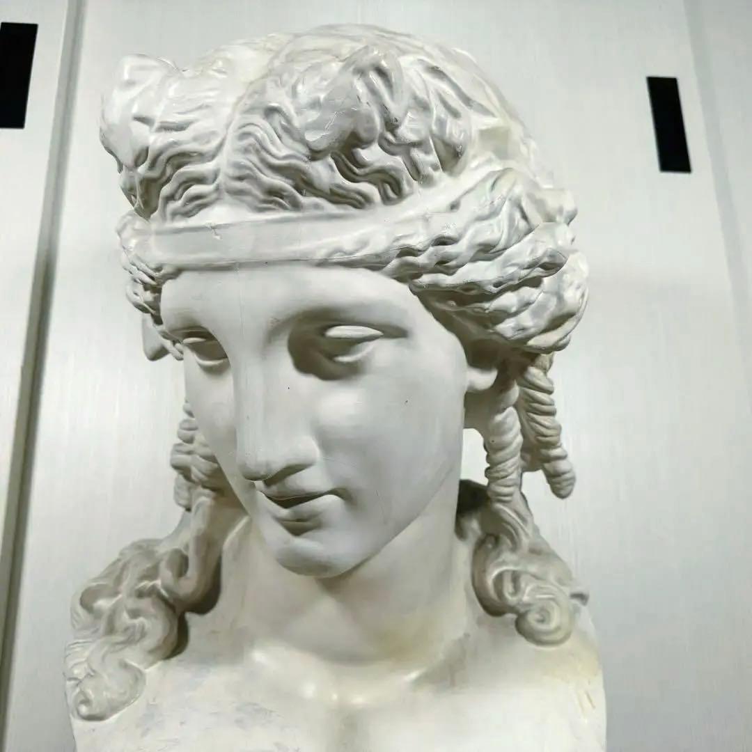 なぬ様専用】アリアス 石膏像 胸像 SUKEGAWA-TOKYO 助川石膏 - メルカリ