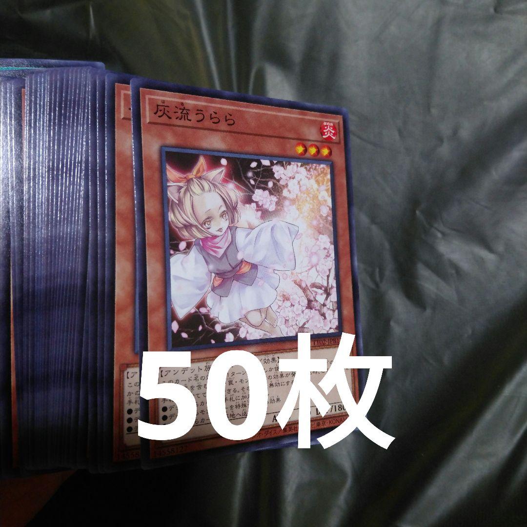 灰流うらら　50枚