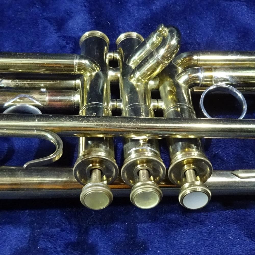 Nikkan TR-133 1969年製 フルカスタムモデル - メルカリ