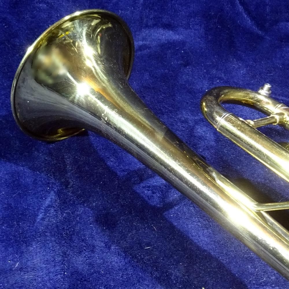 Nikkan TR-133 1969年製 フルカスタムモデル - メルカリ