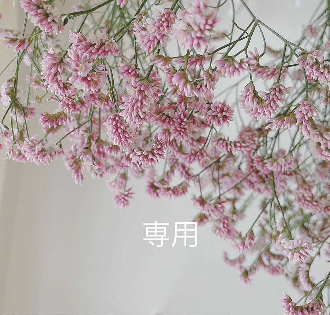 専用ページです。