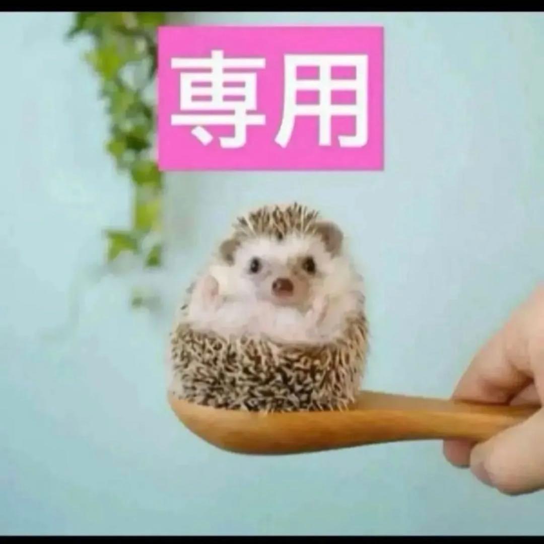 2点、スノーセラム