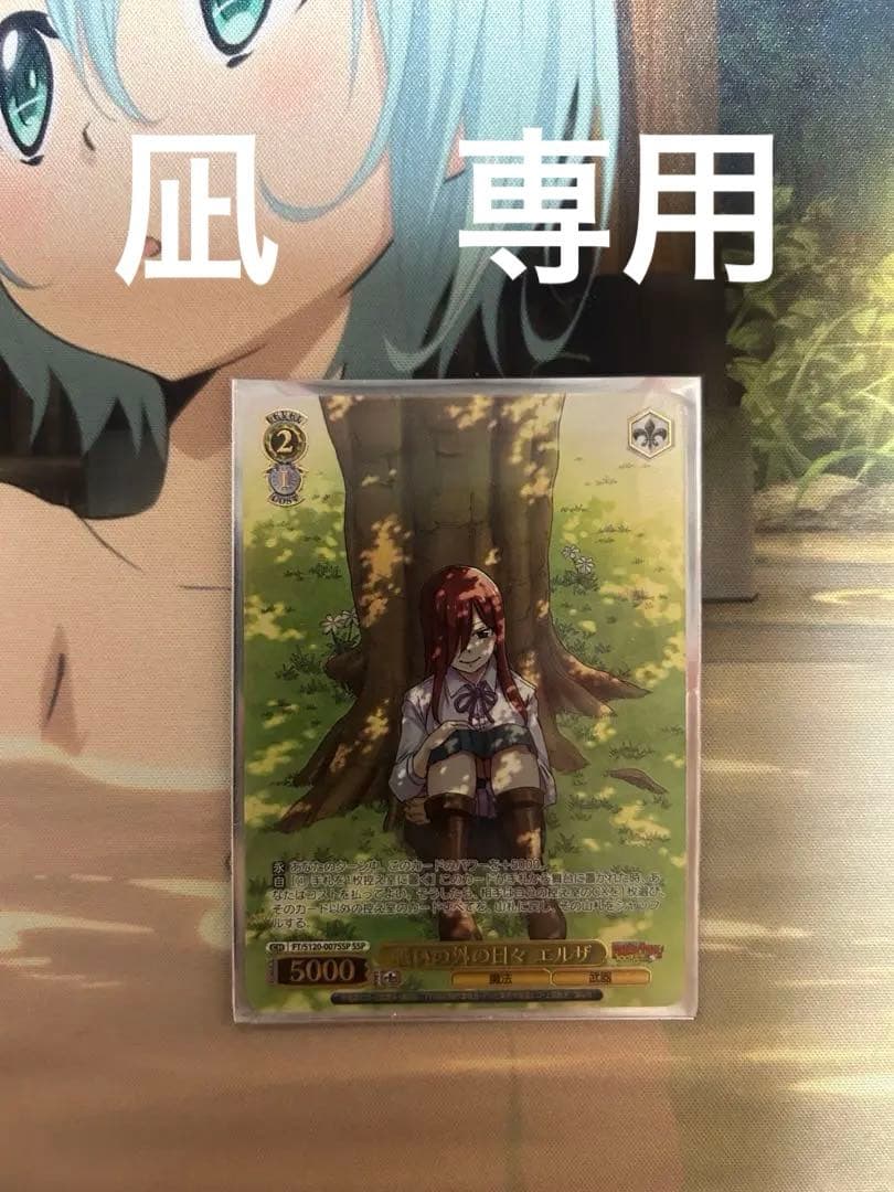 戦いの外の日々 エルザ ssp サイン フェアリーテイル ヴァイス　凪さん　専用