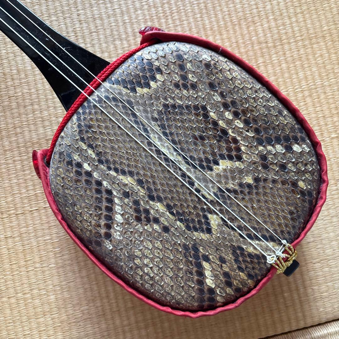 沖縄　琉球　三線　本蛇革　強化張り