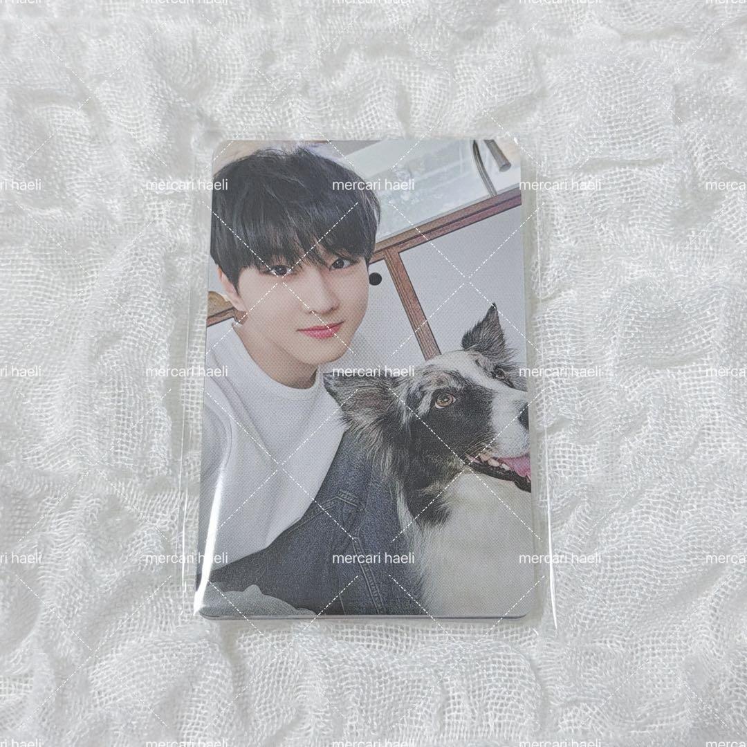 2025 ENHYPEN FC アンケート トレカ 7枚 コンプリート セット