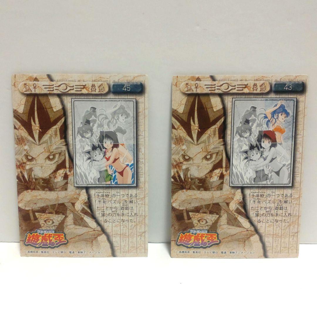 遊戯王】野坂ミホ＆真崎杏子 東映版 トレーディングコレクション 水着