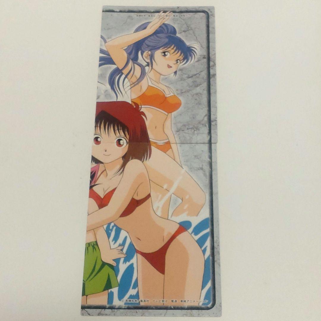 遊戯王】野坂ミホ＆真崎杏子 東映版 トレーディングコレクション 水着