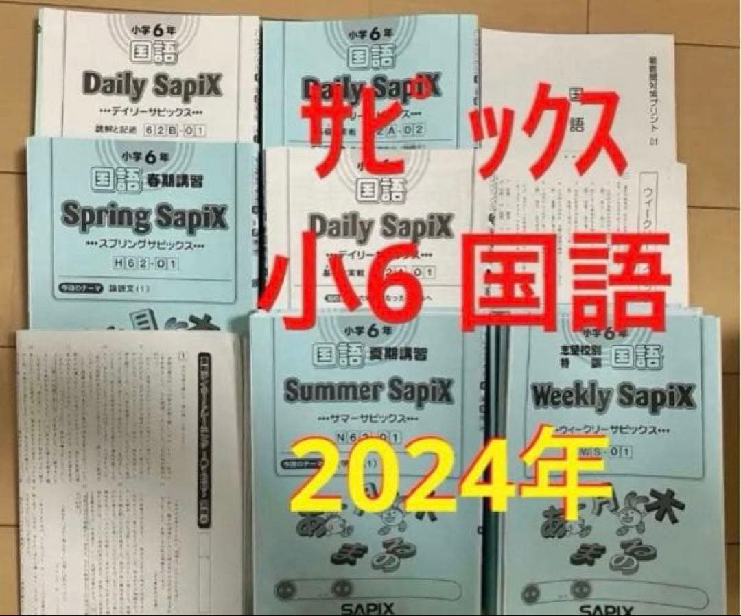 小6 国語 デイリーサピックス 24回分+春期講習•夏期講習 ウィークリー
