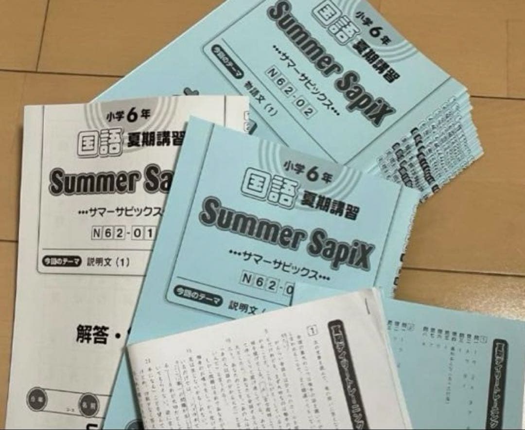 小6 国語 デイリーサピックス 24回分+春期講習•夏期講習 ウィークリー