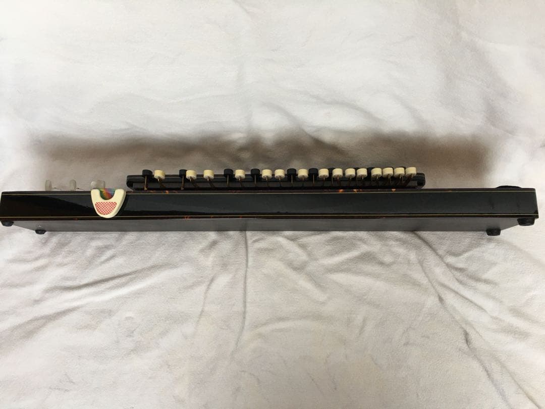 岡田流大正琴　潮