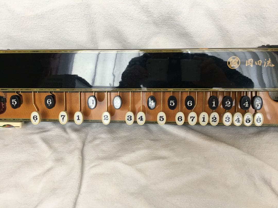 岡田流大正琴　潮