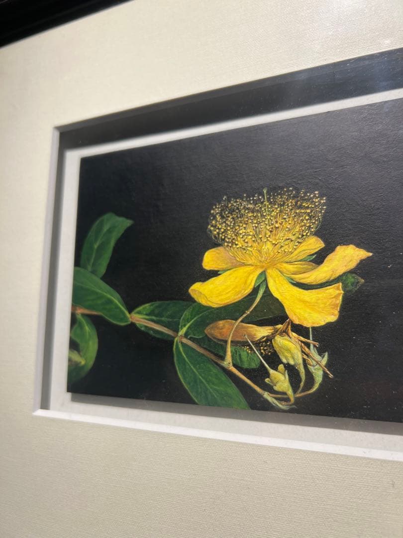 写実画【久古の花】リアリズム　肉質画