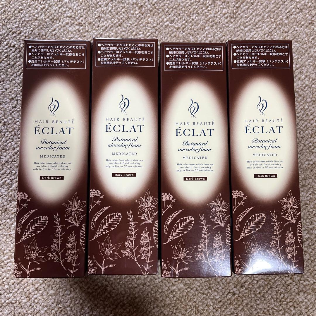ヘアボーテエクラボタニカルエアカラーフォームEX ダークブラン