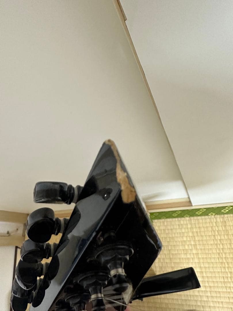 限定値下げ中 LTD（ESP） EX-400 explorer ギター メタリカ | Shop at