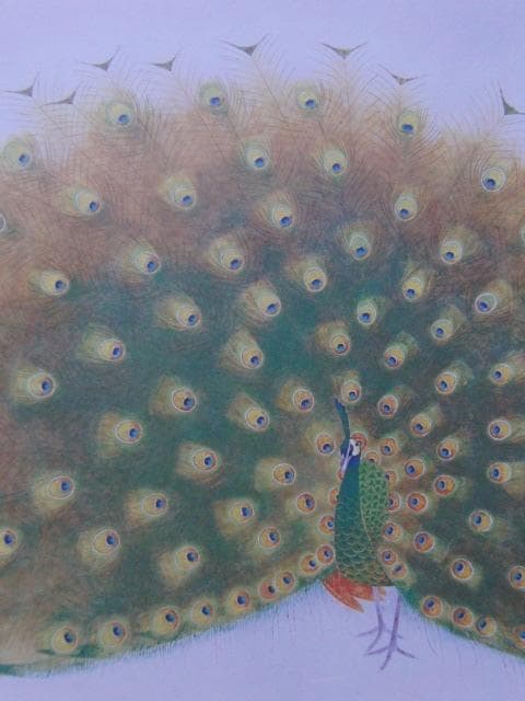 上村松篁、【孔雀】、希少な額装用画集より、新品額装付、状態良好