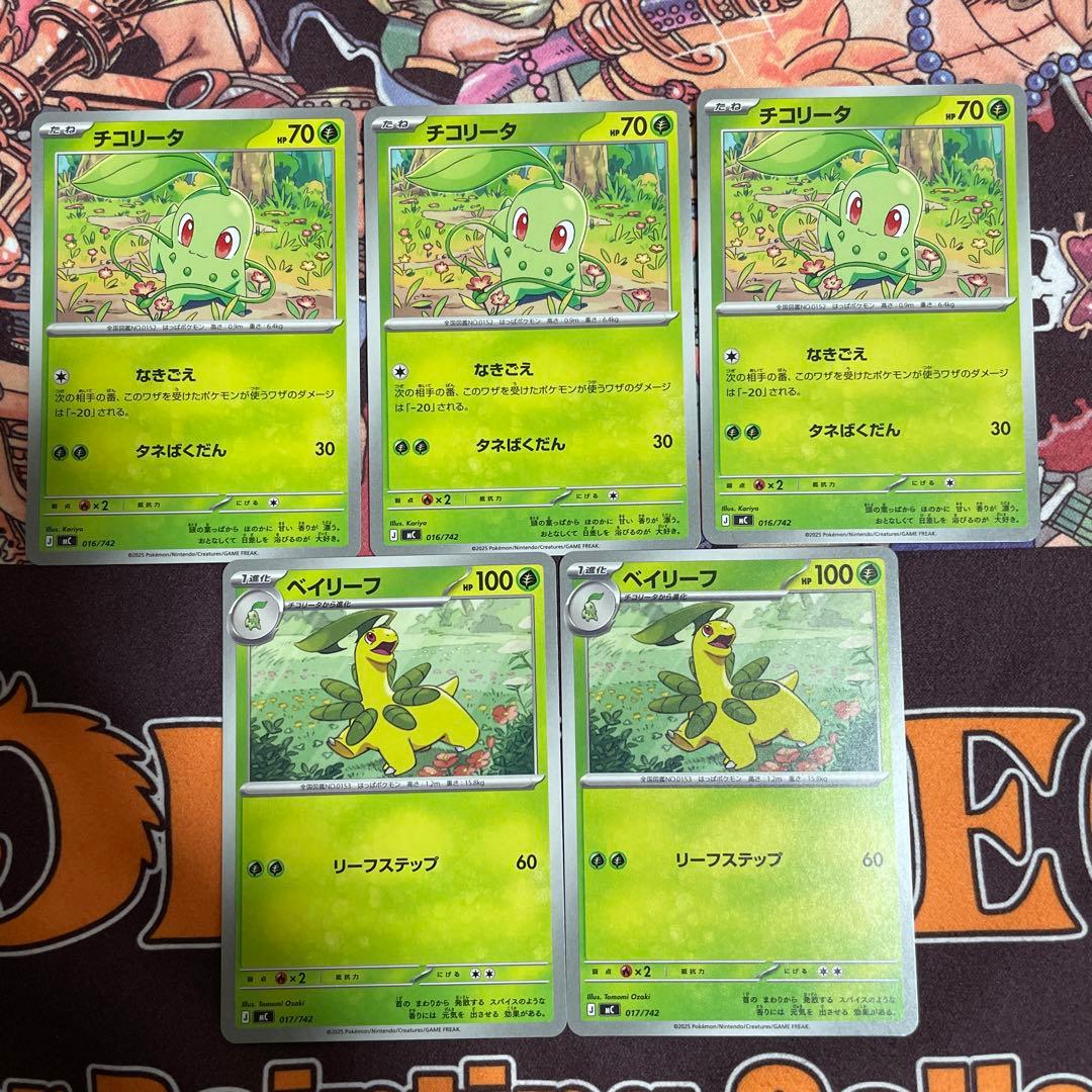 メガメガニウムex ミラー（ホイル） ベイリーフ チコリータ 進化ライン