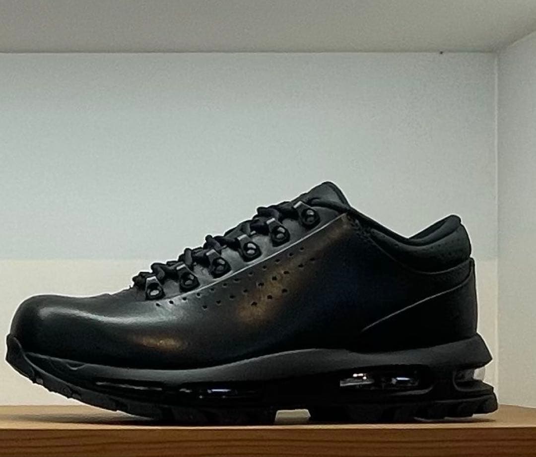 靴 Nike Air Max Goadome Low SP \