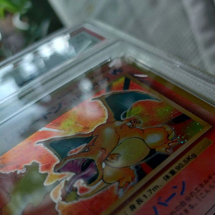 旧裏☆あり御三家 リザードン カメックス フシギバナ PSA鑑定連番