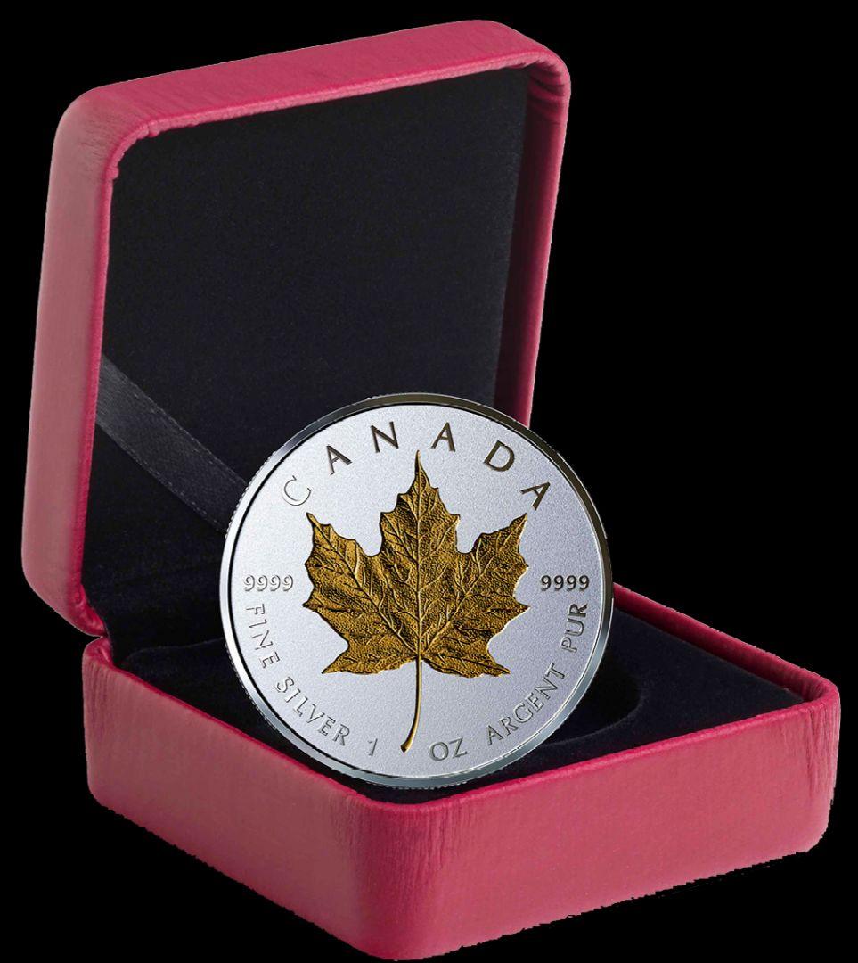 タ*2様 ☆2019年カナダ▫ GML40周年記念限定ゴールドメイプルリーフ20