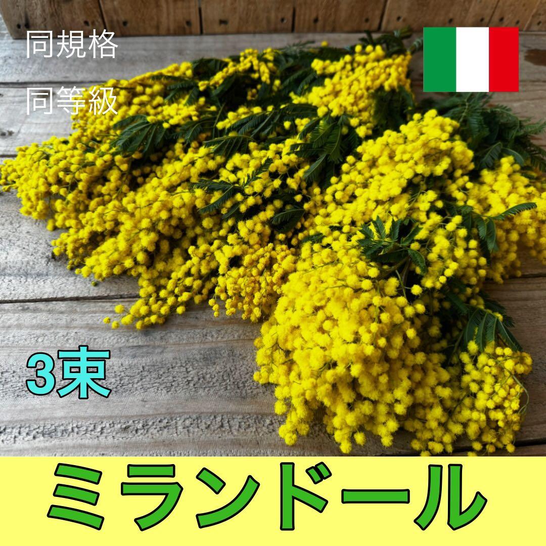 riisi様 リクエスト 4点 まとめ商品 Reさん様 リクエスト 4点 まとめ商品 - メルカリ