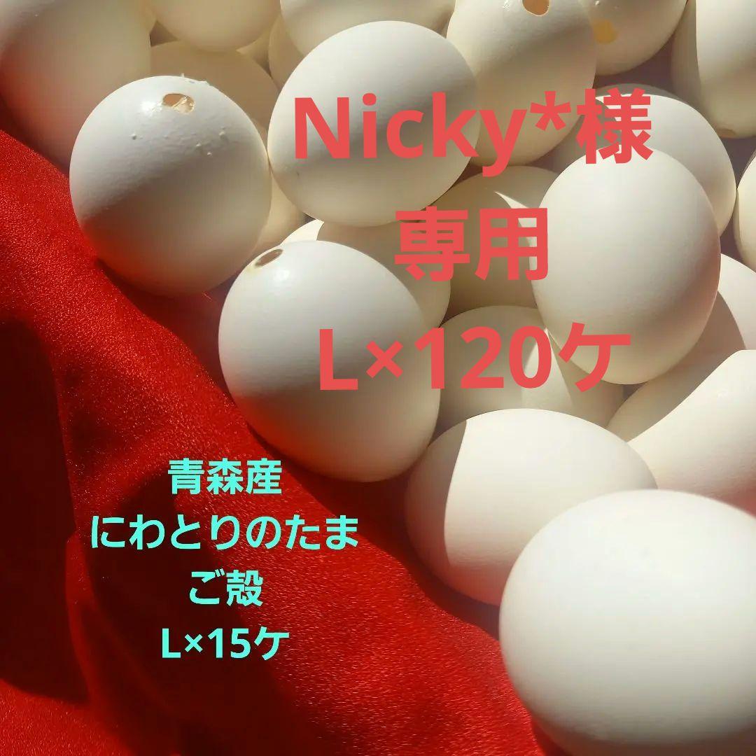 青森産　にわとりの白たまご殻L×120ケ 楽天市場】【クーポン発行中！】けいちゃんたまご 白卵 L 70個（約5kg