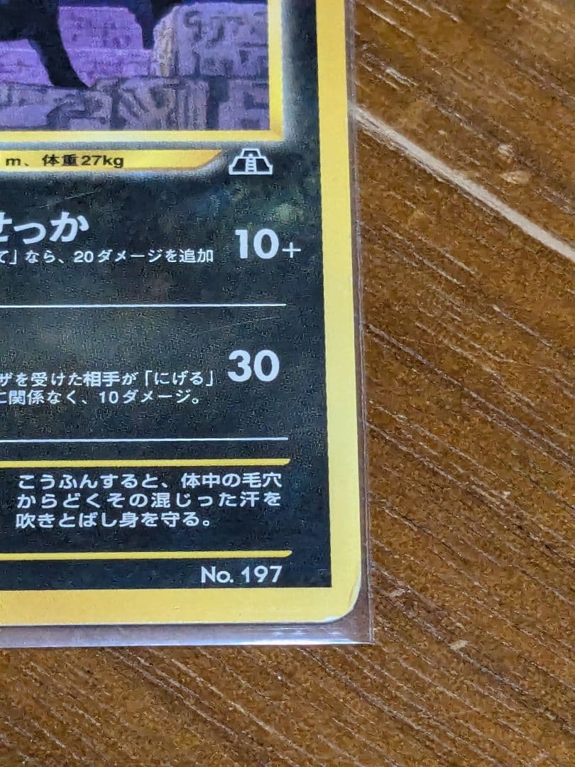 ポケモンカード ネオ ブラッキー LV.33 プレミアムファイル 旧裏