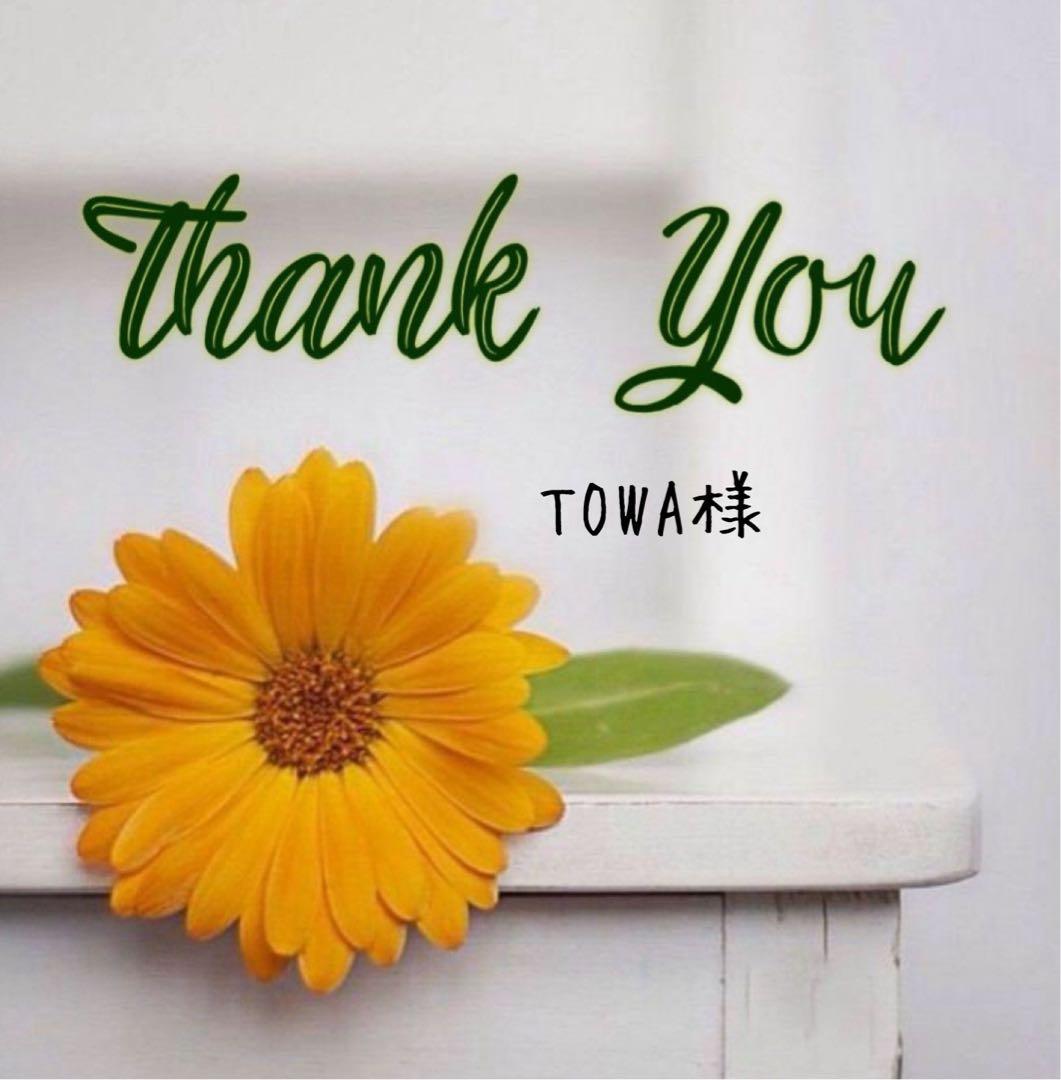 TOWA様 リクエスト 2点 まとめ商品