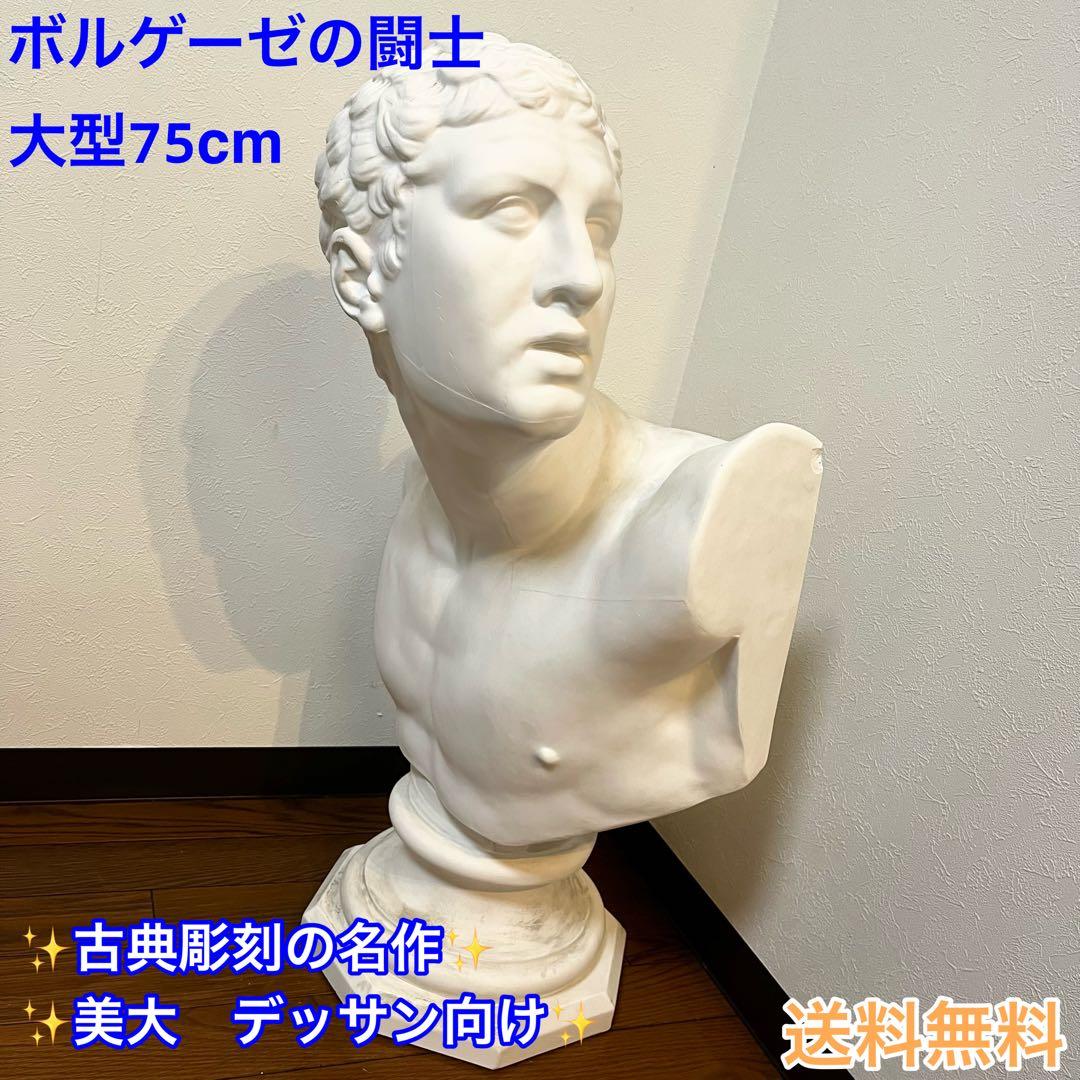 【美品】大型75cm 石膏像 ボルゲーゼの闘士 胸像 デッサン像 美大