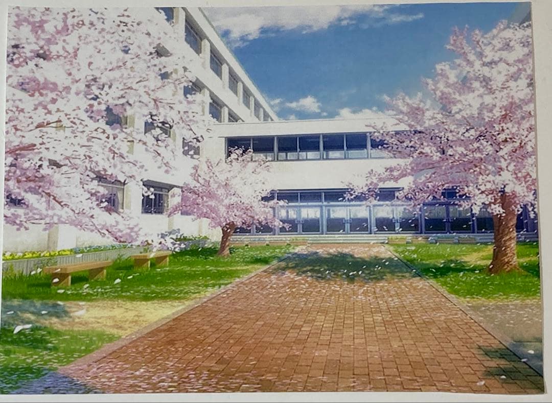 d60 カードキャプターさくらセル画【さくら達四人】動画・背景画付き