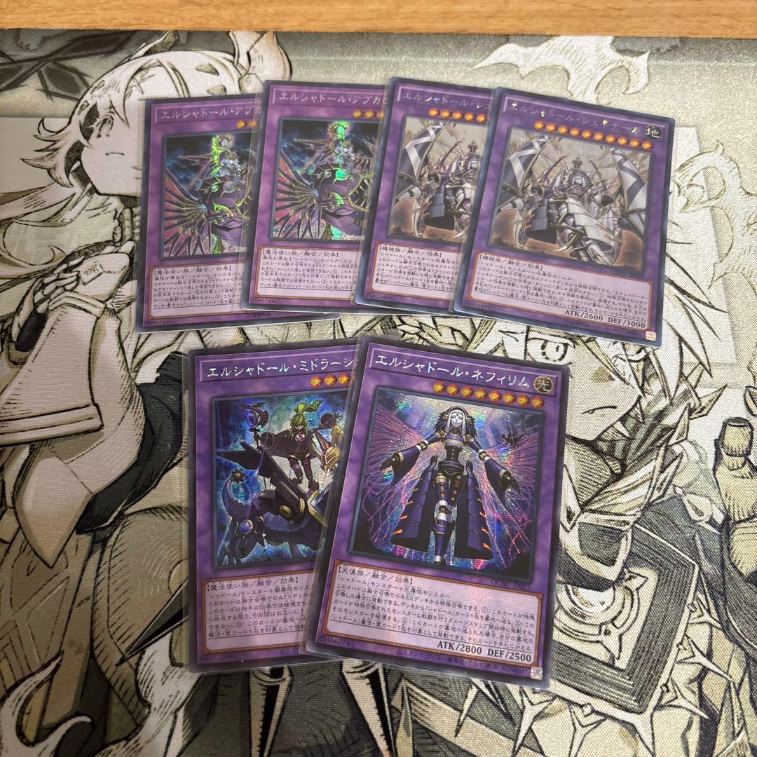 シャドール　アジア　まとめ