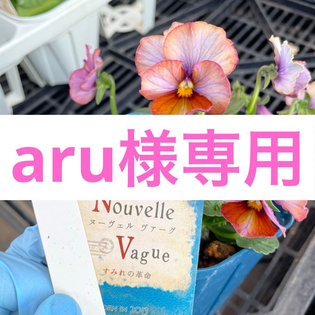 花 aru