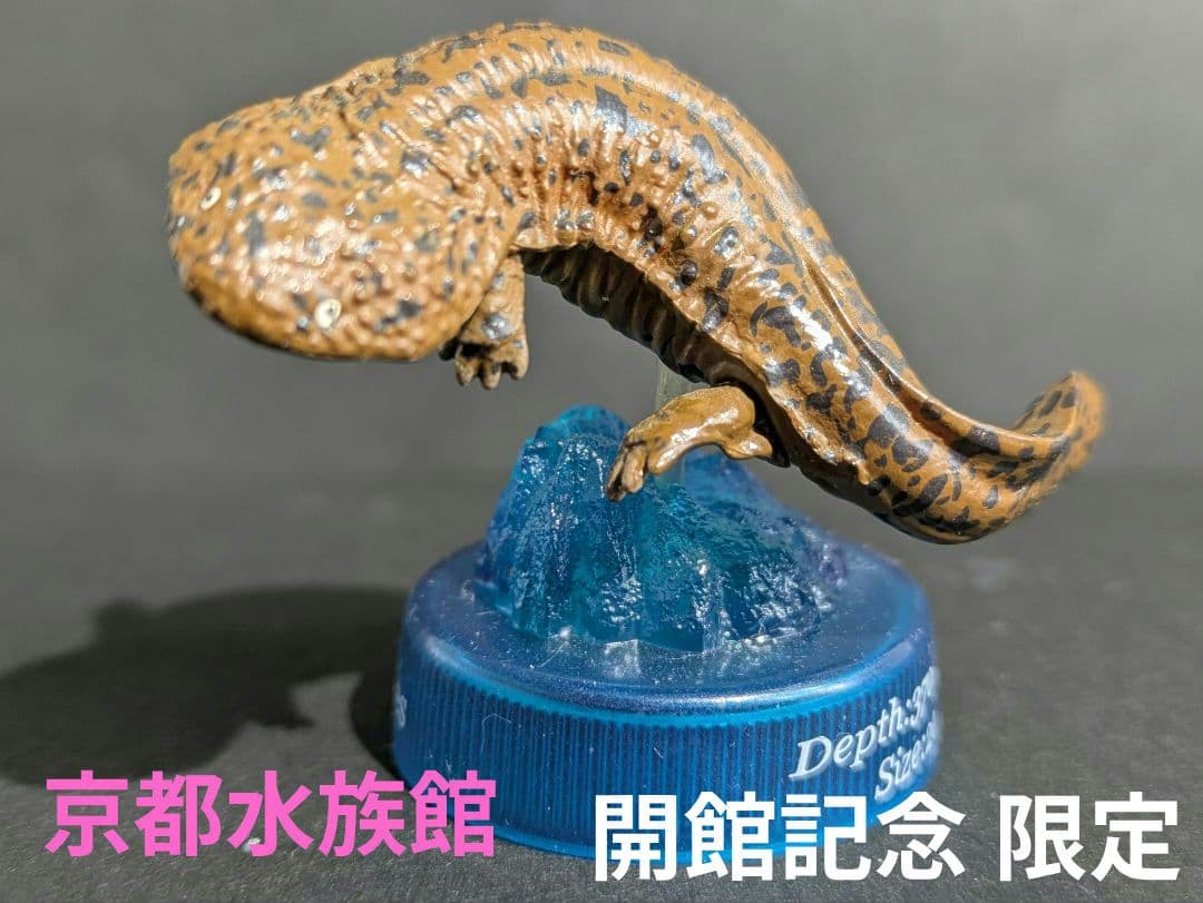 ☆超レア☆ 京都水族館開館記念 限定 オオサンショウウオ (台座違い