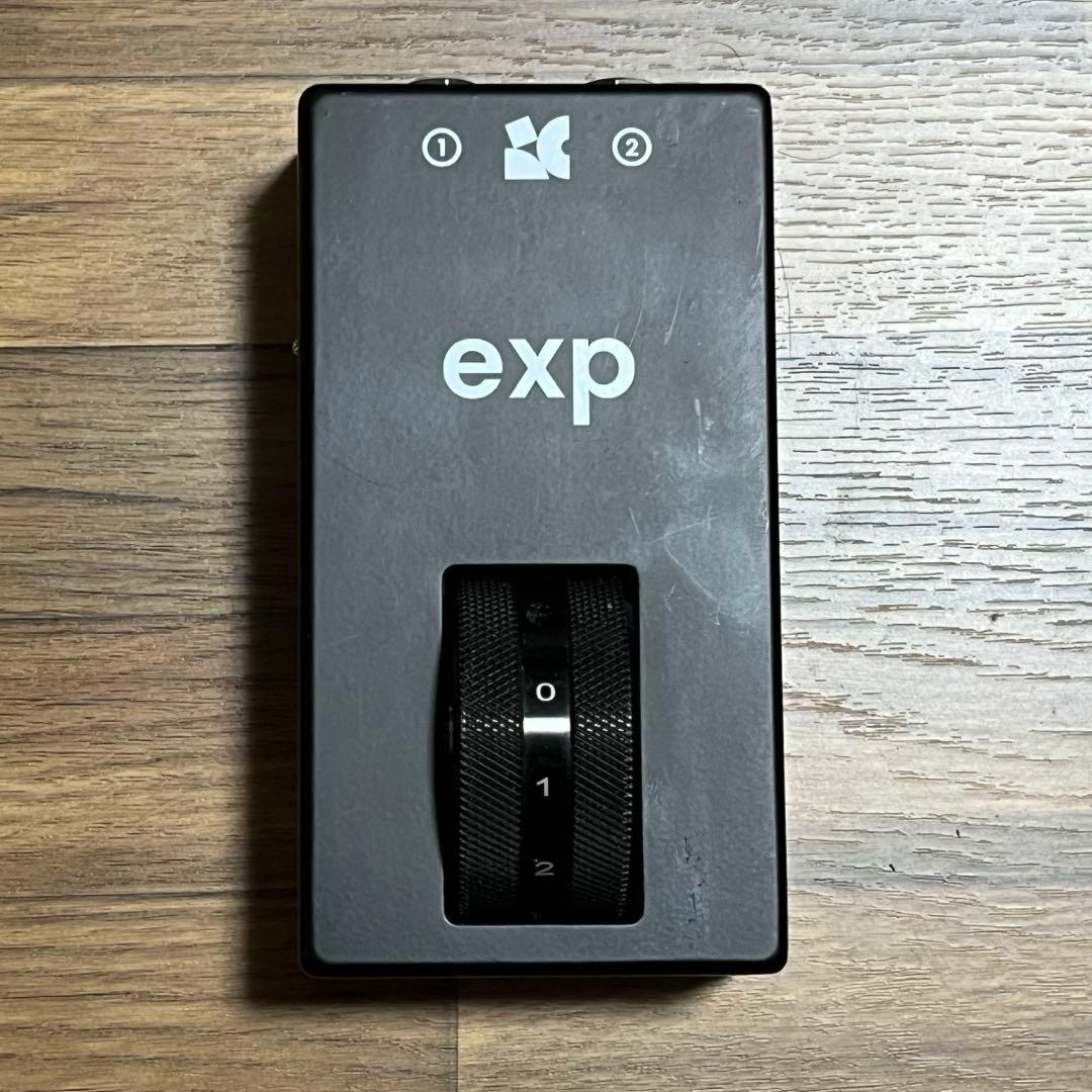 ギター Chase Bliss EXP (Expression Roller)